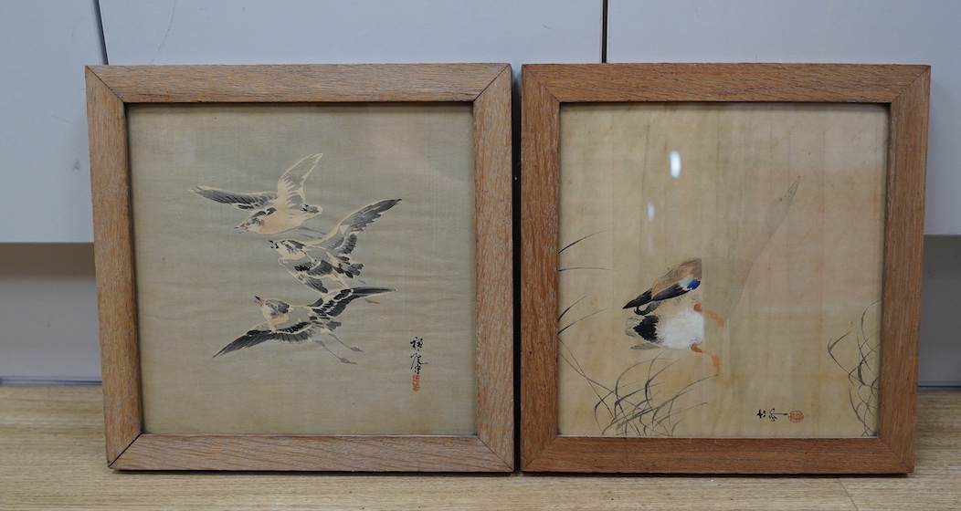 Ohara Koson (1877-1945), Japanese woodblock print, Study of a duck, together with another by Suian Hirafuku, Birds in flight, each 23 x 23cm. Condition - poor to fair